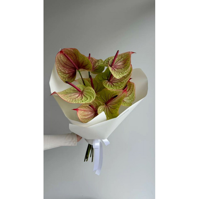 Антуриумы в Балхаше