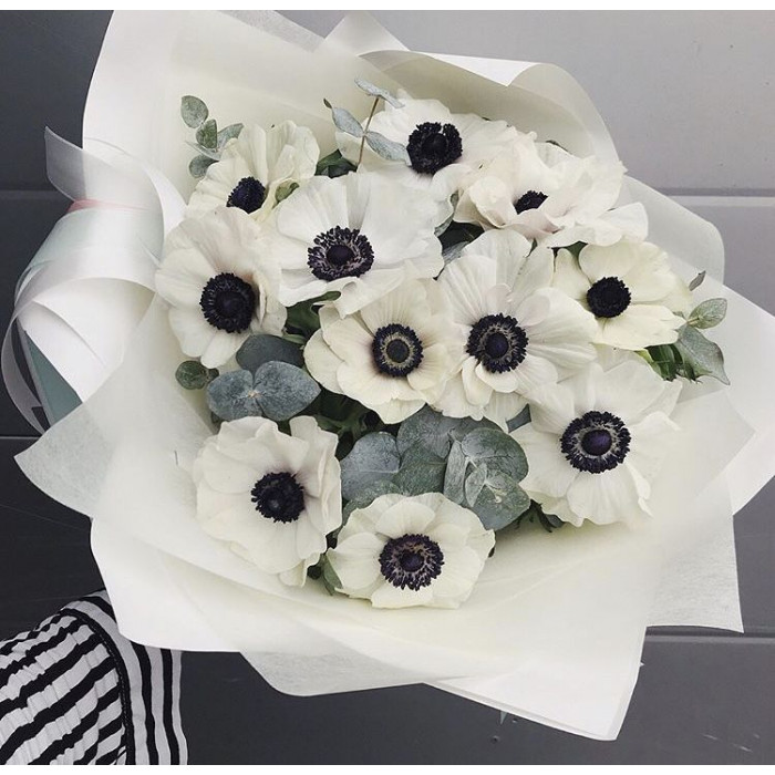 Анемоны в Балхаше