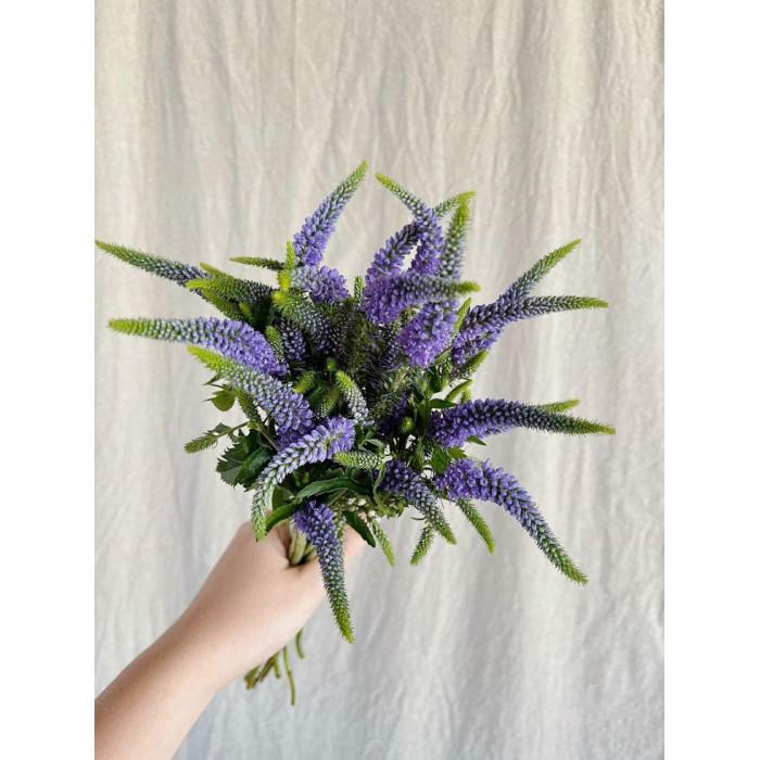 Вероника в Балхаше