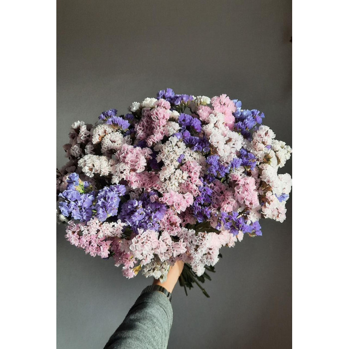 Статица (Лимониум) в Балхаше