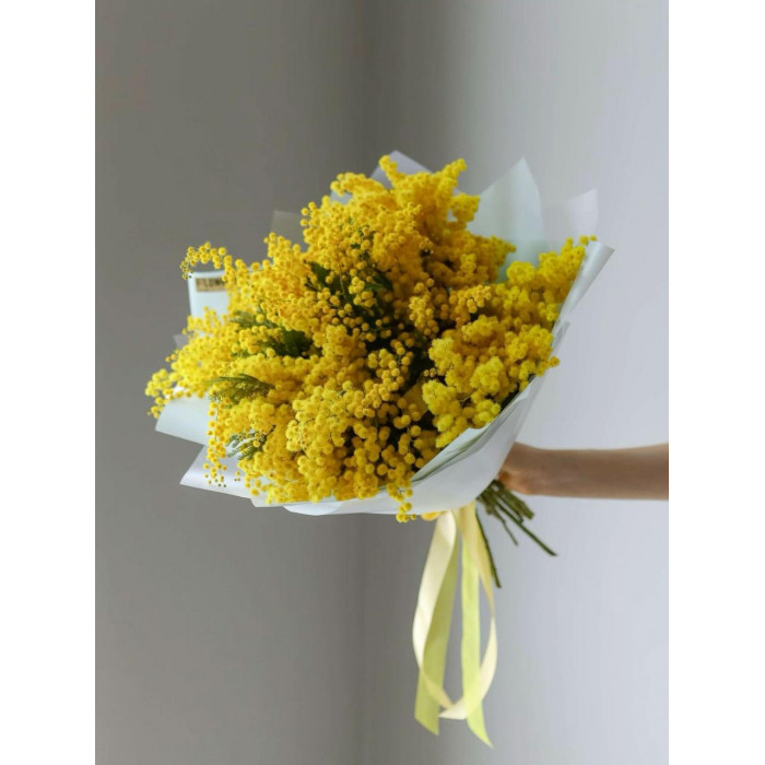 Мимоза в Балхаше