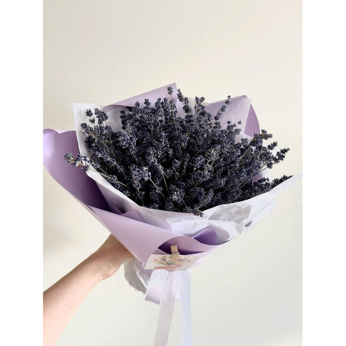 Лаванда в Балхаше