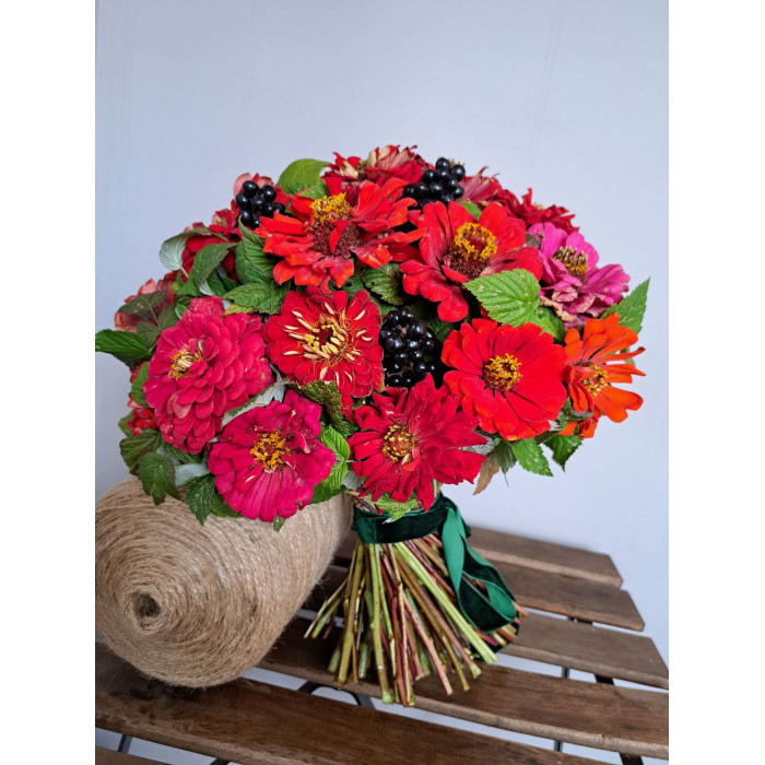 Циния в Балхаше