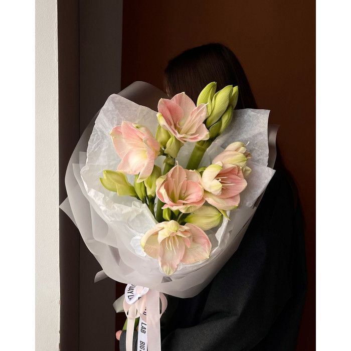 Амариллис в Балхаше