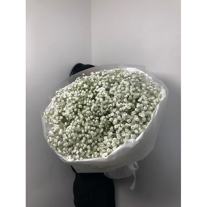 Гипсофила классическая в Балхаше