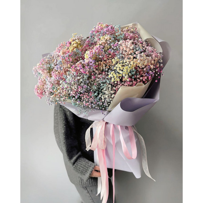 Гипсофила цветная в Балхаше