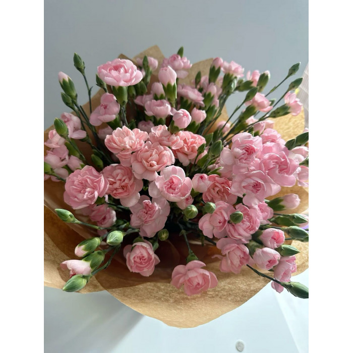 Кустовые гвоздики в Балхаше