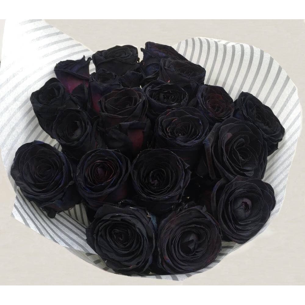 Где купить черные розы. Черный букет. Черные розы букет. Букет из чёрных роз.