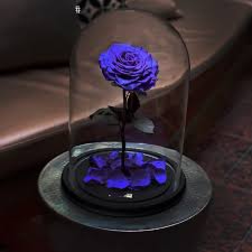 Violet Rose in the bulb
